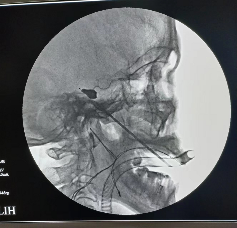 圖片2.png 圖片2.png