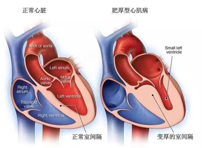 圖片2.png 圖片2.png