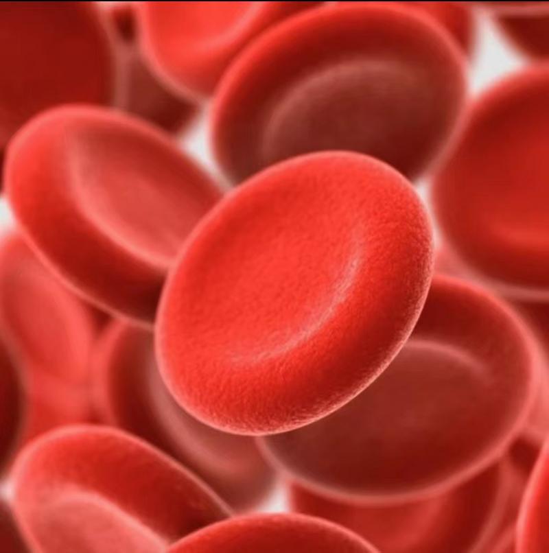 圖片1.png 圖片1.png