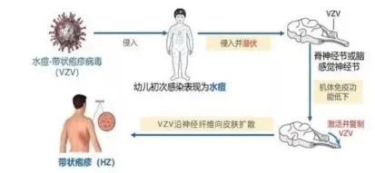 圖片3.png 圖片3.png