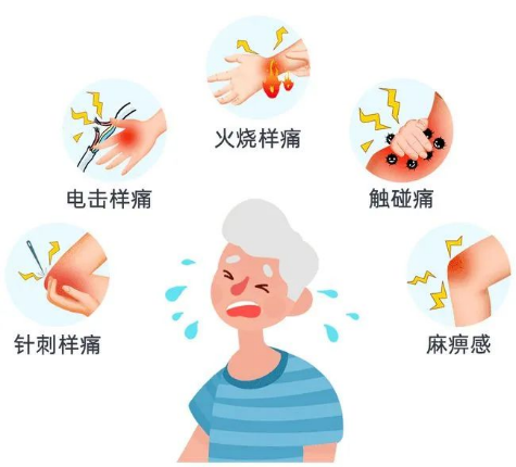 圖片5.png 圖片5.png