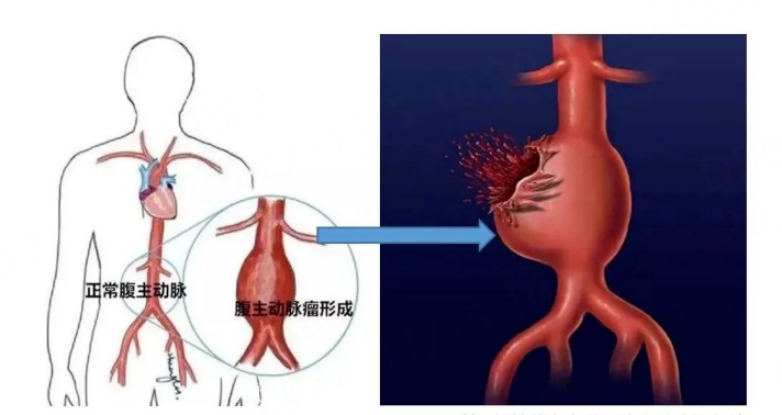 圖片1.png 圖片1.png