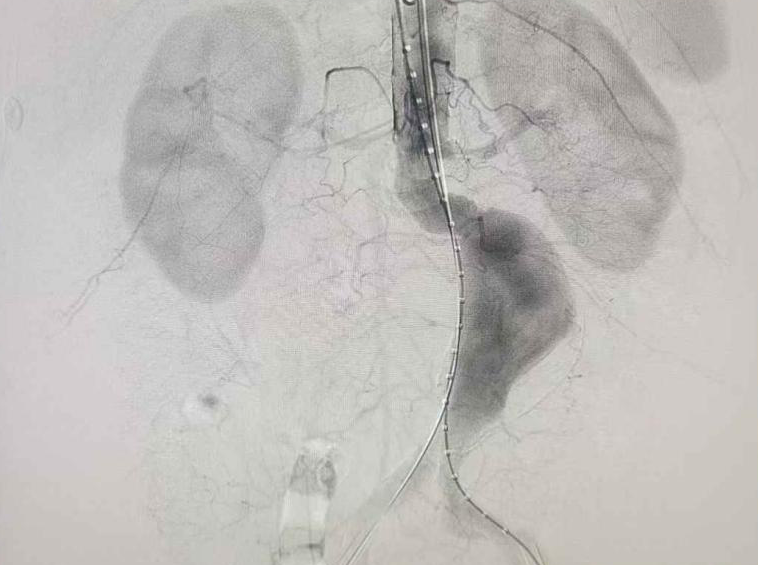 圖片4.png 圖片4.png