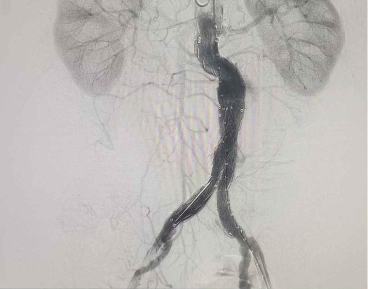 圖片5.png 圖片5.png