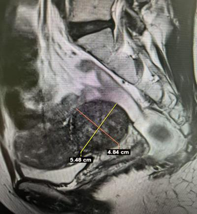 圖片1.png 圖片1.png